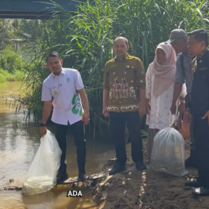 Ahlul Badrito Resha Lepaskan 8.000 Bibit Ikan Gariang di Nagari Sariak Laweh
